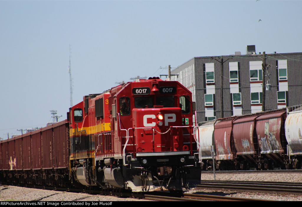 CP 6017